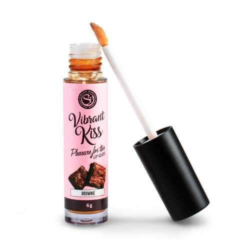LIP GLOSS VIBRANT KISS BROWNIE LIP GLOSS VIBRANT KISS BROWNIE