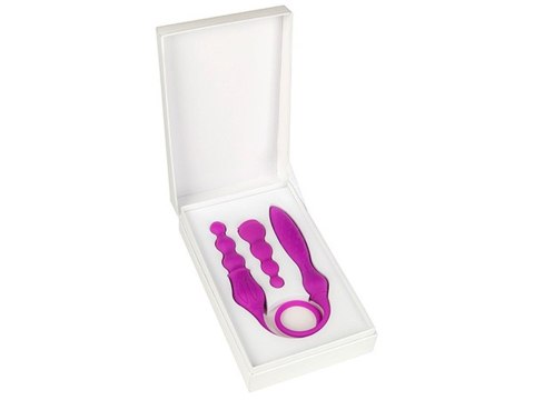 Wibrator-X2 - zestaw (wibrator+kontroler) Wibrator-X2 - zestaw (wibrator+kontroler)