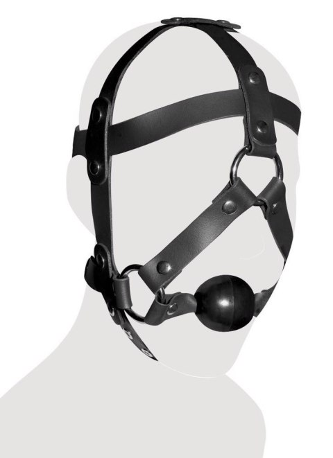 Leather Head Harness & Gag Leather Head Harness & Gag