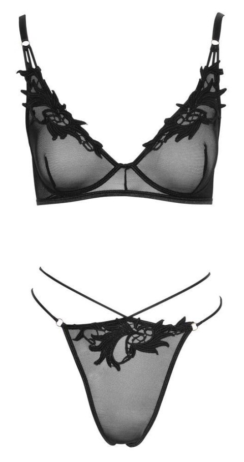Bra and Rio M Bra and Rio M