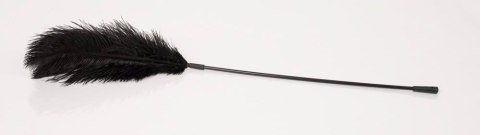 Black feather Bad Kitty Black feather Bad Kitty