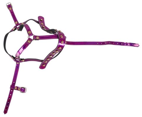 Head Harness Head Harness