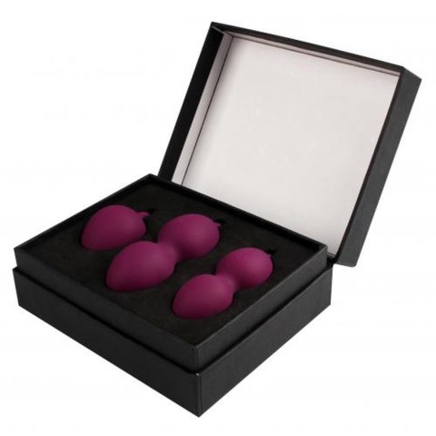 Svakom - Nova Kegel Training Set - Violet Svakom - Nova Kegel Training Set - Violet
