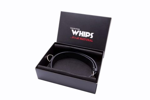 Wiązania-WHIPS obroża męska wąska Wiązania-WHIPS obroża męska wąska