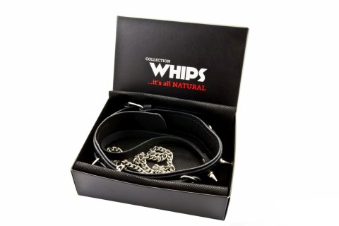 Wiązania-WHIPS obroża męska z półkółkami i smyczą Wiązania-WHIPS obroża męska z półkółkami i smyczą