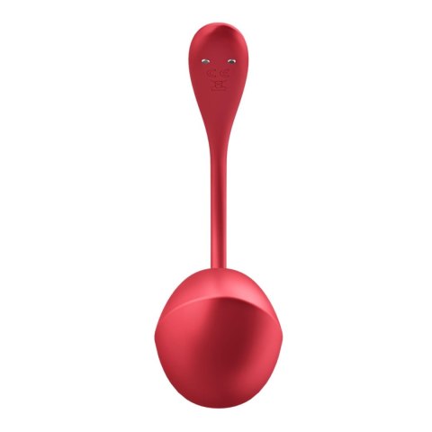 Shiny Petal red Connect App Shiny Petal red Connect App