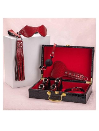 Suitcase bondage set red