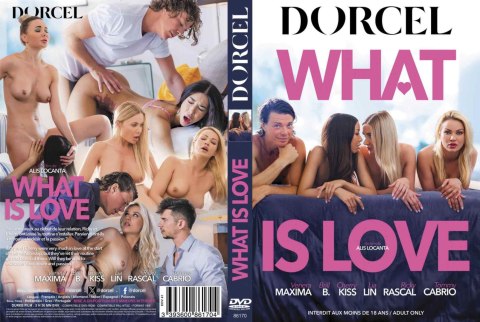 WHAT IS LOVE WHAT IS LOVE