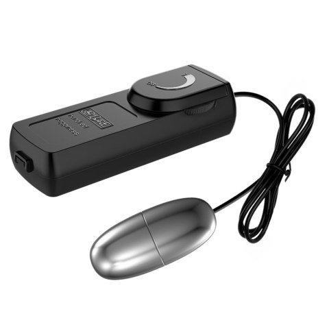 Silver Vibrating Egg