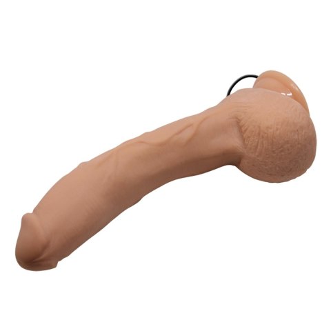 BAILE-Beautiful Jack 10.6""""