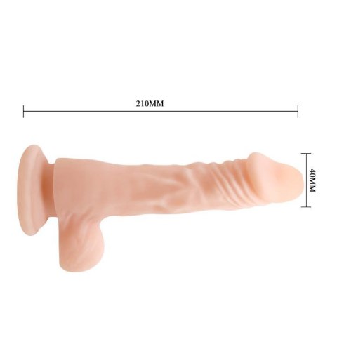 BAILE - COCK 8,5