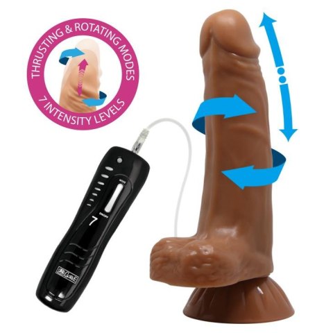 BAILE - Easton , 7 rotation functions Suction base 7 thrusting settings
