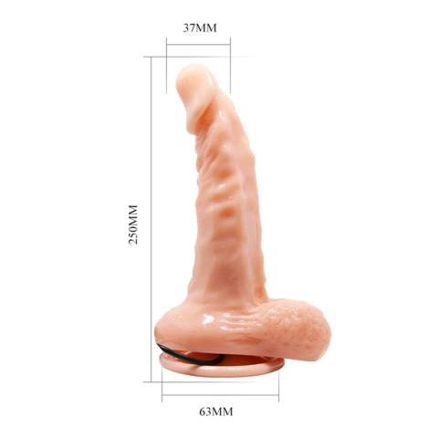 BAILE- REALISTIC MALE COCK AND TIGHT ASS, Vibration Suction base
