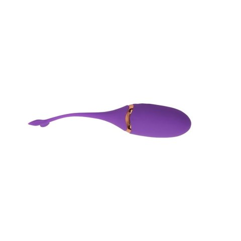 Beckoning Beats Bullet Vibrator Beckoning Beats Bullet Vibrator