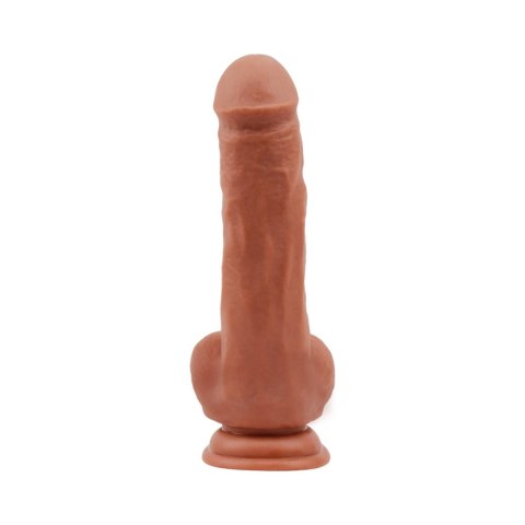 Bottomless Pleasure-Latin Bottomless Pleasure-Latin