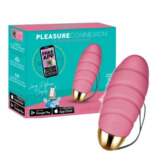 Pleasure Connexion Rose