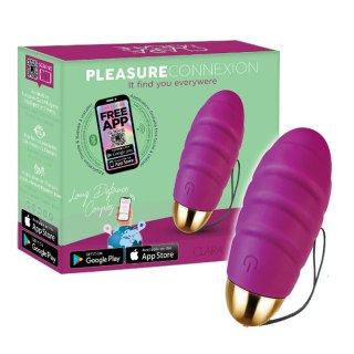 Pleasure Connexion Violet