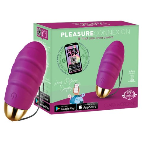 Pleasure Connexion Violet Pleasure Connexion Violet
