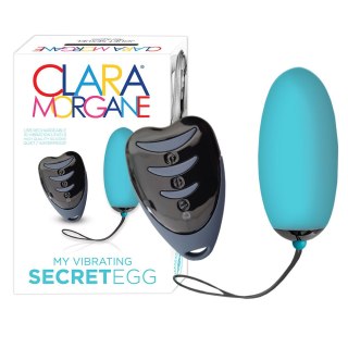 Secret Egg Blue