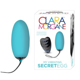 Secret Egg Blue