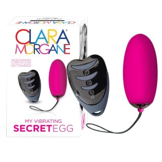 Secret Egg Fuchsia
