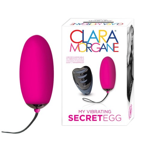 Secret Egg Fuchsia Secret Egg Fuchsia