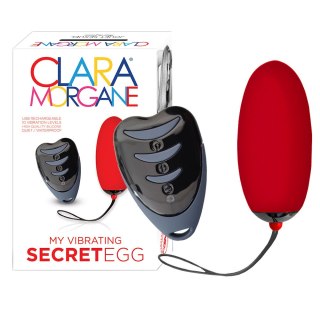 Secret Egg Red