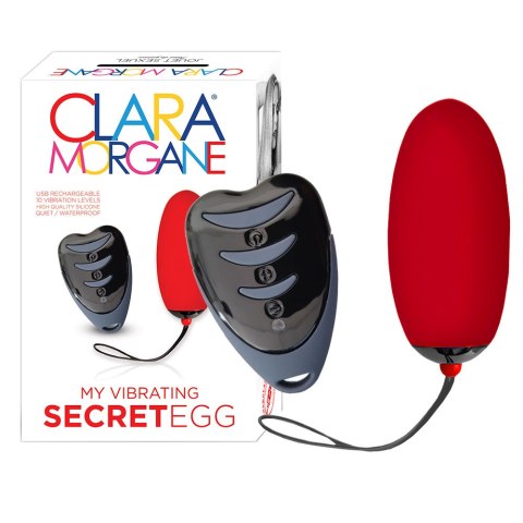 Secret Egg Red Secret Egg Red